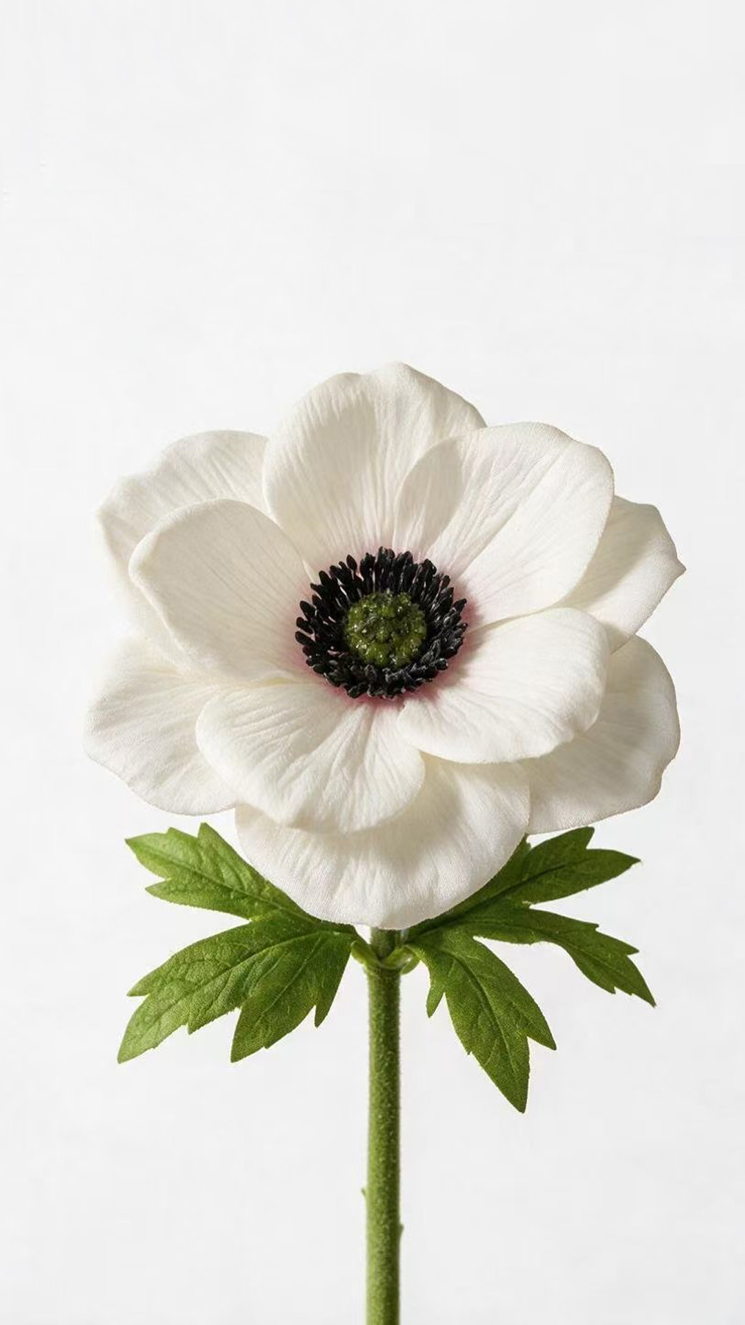 White artificial flower stem from the SONG catalogue
